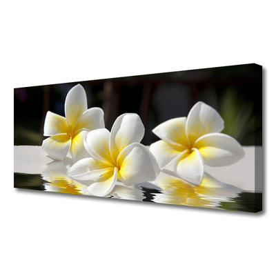 Quadro em tela Flores Planta Natureza