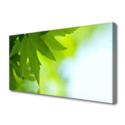Quadro em tela Folhas Natureza Planta