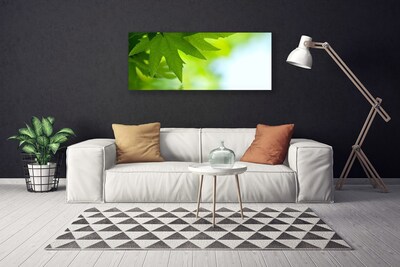 Quadro em tela Folhas Natureza Planta