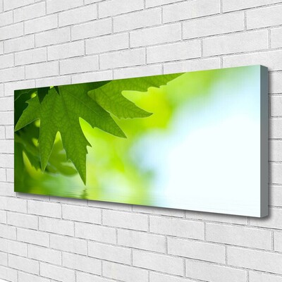 Quadro em tela Folhas Natureza Planta