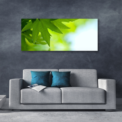 Quadro em tela Folhas Natureza Planta