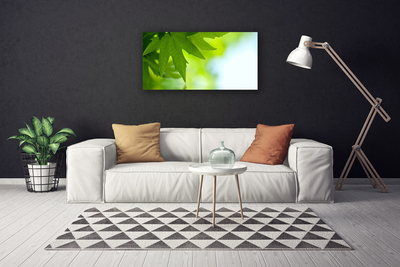 Quadro em tela Folhas Natureza Planta
