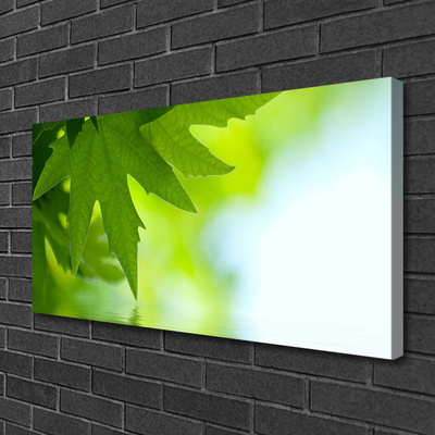 Quadro em tela Folhas Natureza Planta