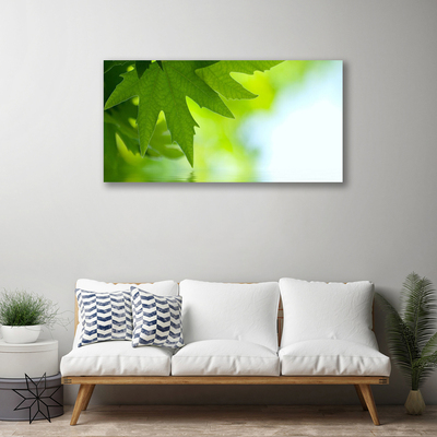 Quadro em tela Folhas Natureza Planta