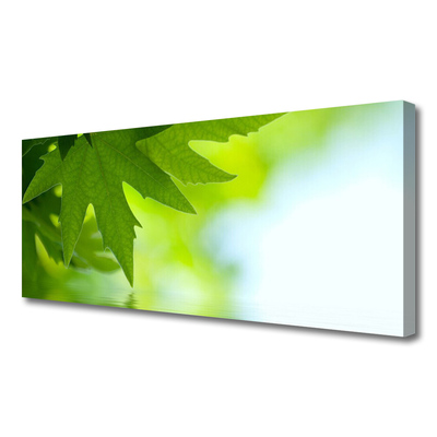Quadro em tela Folhas Natureza Planta