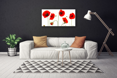 Quadro canvas Papoulas Plantam Natureza