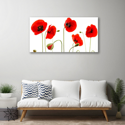 Quadro canvas Papoulas Plantam Natureza