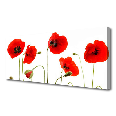 Quadro canvas Papoulas Plantam Natureza