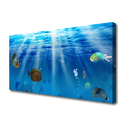 Quadro em tela Natureza dos peixes
