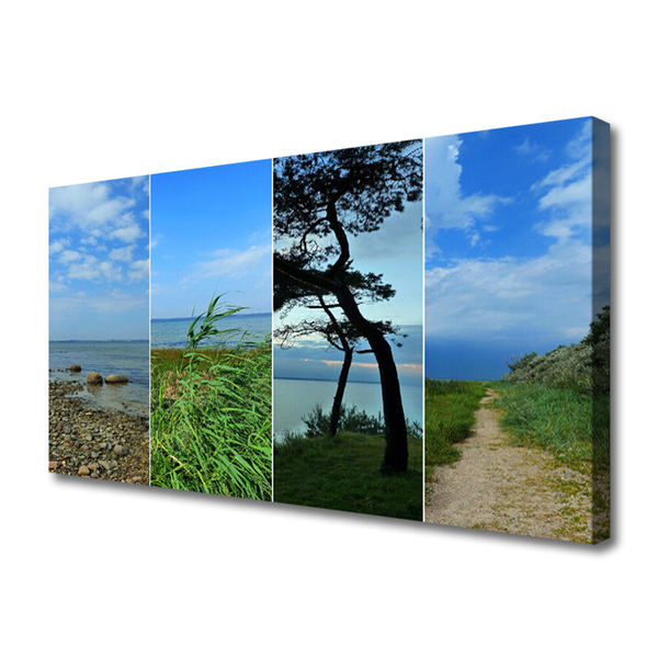 Quadro canvas Paisagem de árvores de praia