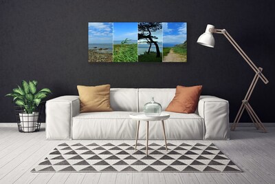 Quadro canvas Paisagem de árvores de praia