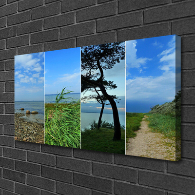 Quadro canvas Paisagem de árvores de praia