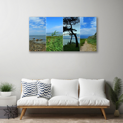 Quadro canvas Paisagem de árvores de praia