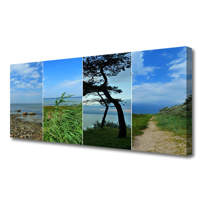 Quadro canvas Paisagem de árvores de praia