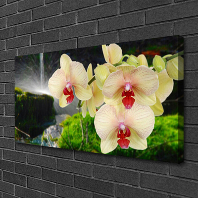 Quadro canvas Árvores Natureza Planta