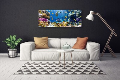 Quadro canvas Natureza dos recifes de corais