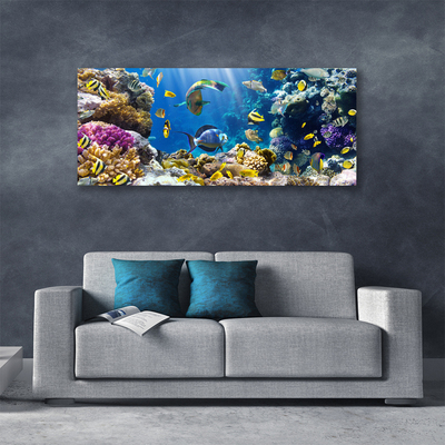 Quadro canvas Natureza dos recifes de corais