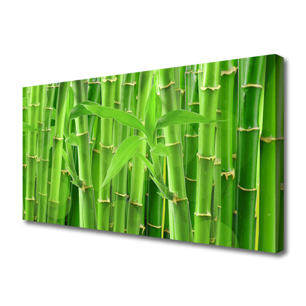 Quadro em tela Planta de flor de caule de bambu