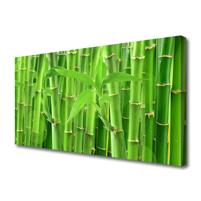 Quadro em tela Planta de flor de caule de bambu