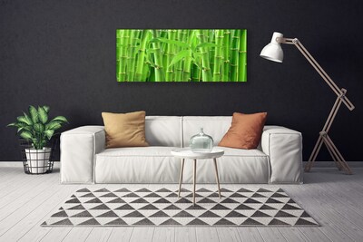 Quadro em tela Planta de flor de caule de bambu