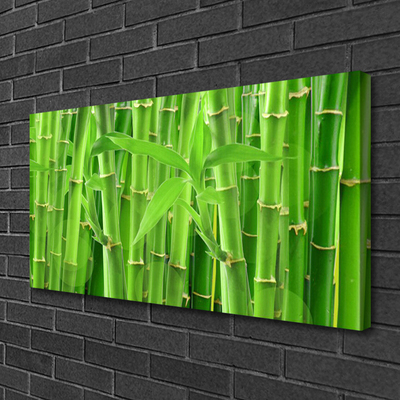 Quadro em tela Planta de flor de caule de bambu