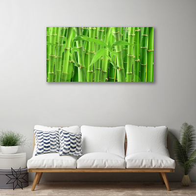 Quadro em tela Planta de flor de caule de bambu