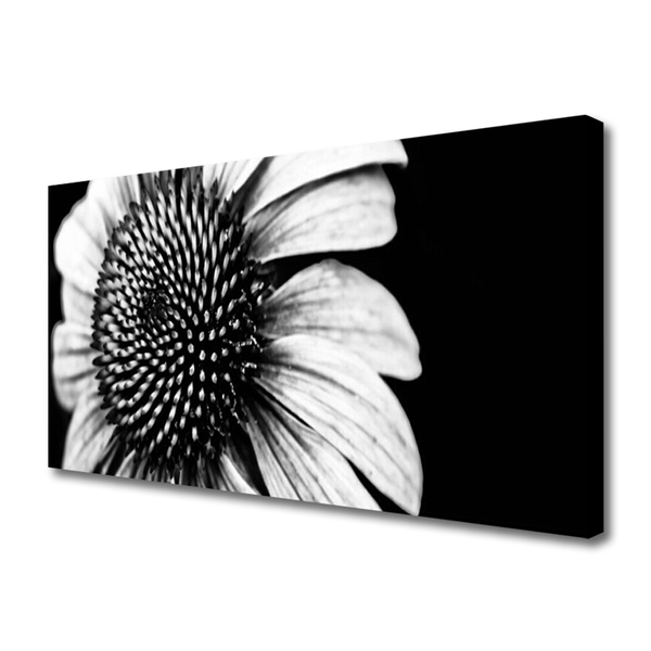Quadro canvas Flor Planta Natureza