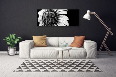 Quadro canvas Flor Planta Natureza