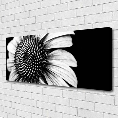 Quadro canvas Flor Planta Natureza