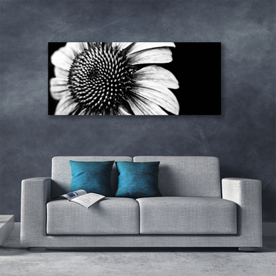 Quadro canvas Flor Planta Natureza