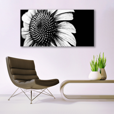 Quadro canvas Flor Planta Natureza