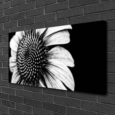 Quadro canvas Flor Planta Natureza