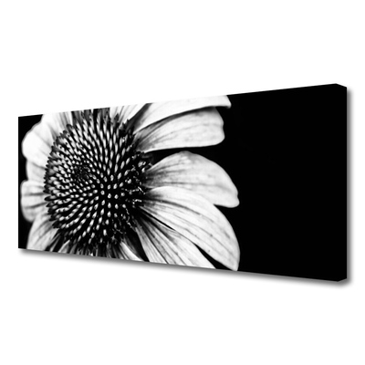 Quadro canvas Flor Planta Natureza