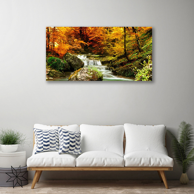 Quadro em tela Floresta Natureza Cachoeira