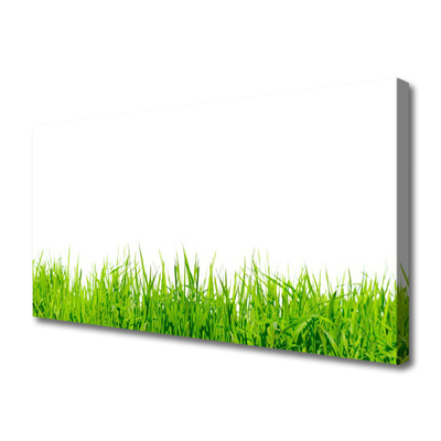 Quadro canvas Grama Natureza Planta