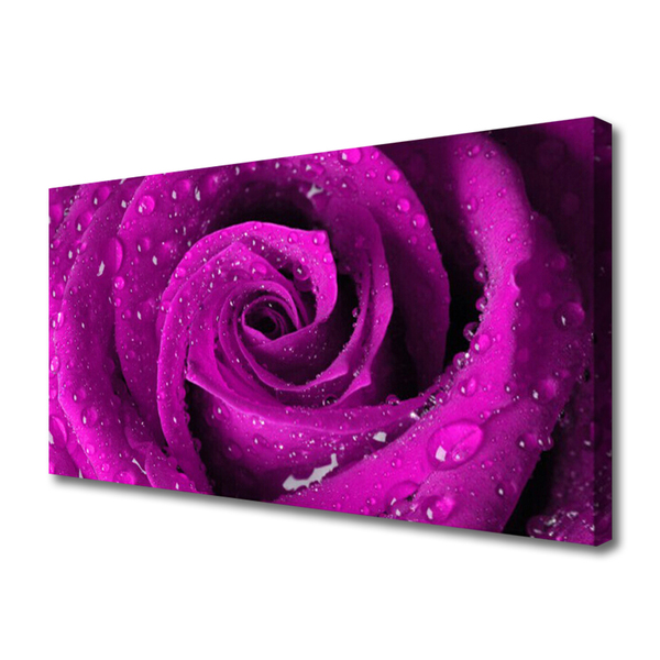 Quadro canvas Rosa Flor Planta Natureza