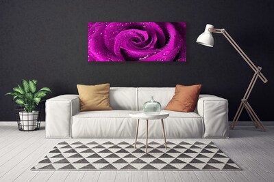 Quadro canvas Rosa Flor Planta Natureza