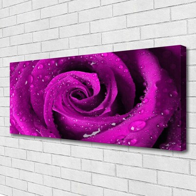 Quadro canvas Rosa Flor Planta Natureza