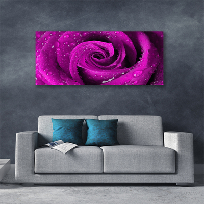 Quadro canvas Rosa Flor Planta Natureza