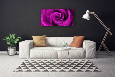 Quadro canvas Rosa Flor Planta Natureza