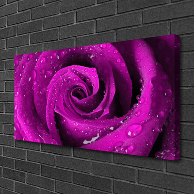 Quadro canvas Rosa Flor Planta Natureza