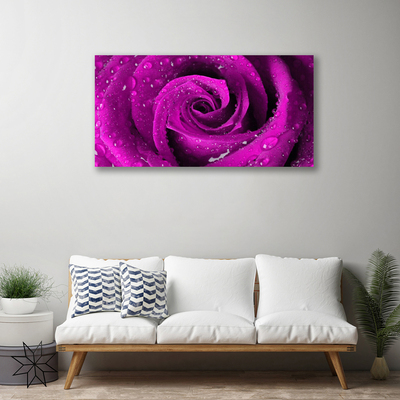 Quadro canvas Rosa Flor Planta Natureza