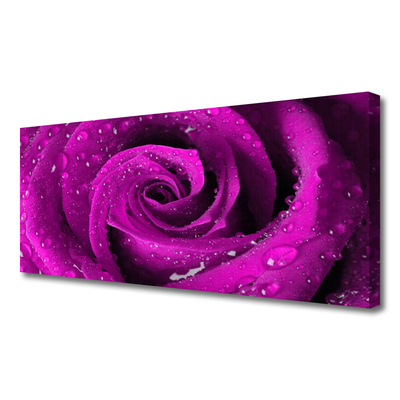 Quadro canvas Rosa Flor Planta Natureza