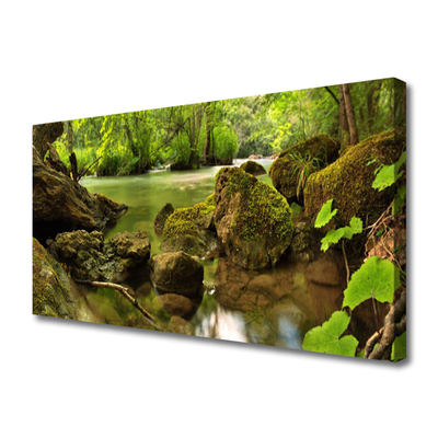 Quadro em tela Natureza do Lago Rock