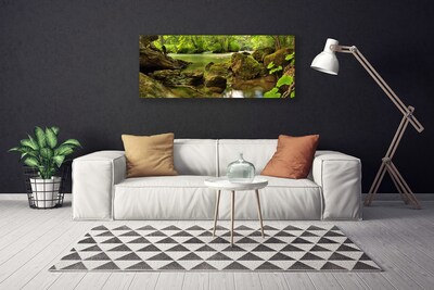 Quadro em tela Natureza do Lago Rock