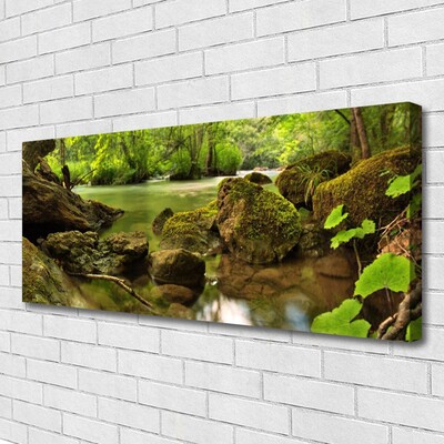 Quadro em tela Natureza do Lago Rock