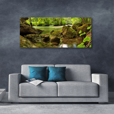 Quadro em tela Natureza do Lago Rock