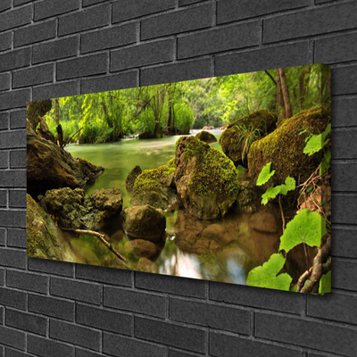 Quadro em tela Natureza do Lago Rock