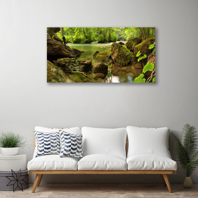 Quadro em tela Natureza do Lago Rock