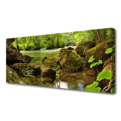 Quadro em tela Natureza do Lago Rock